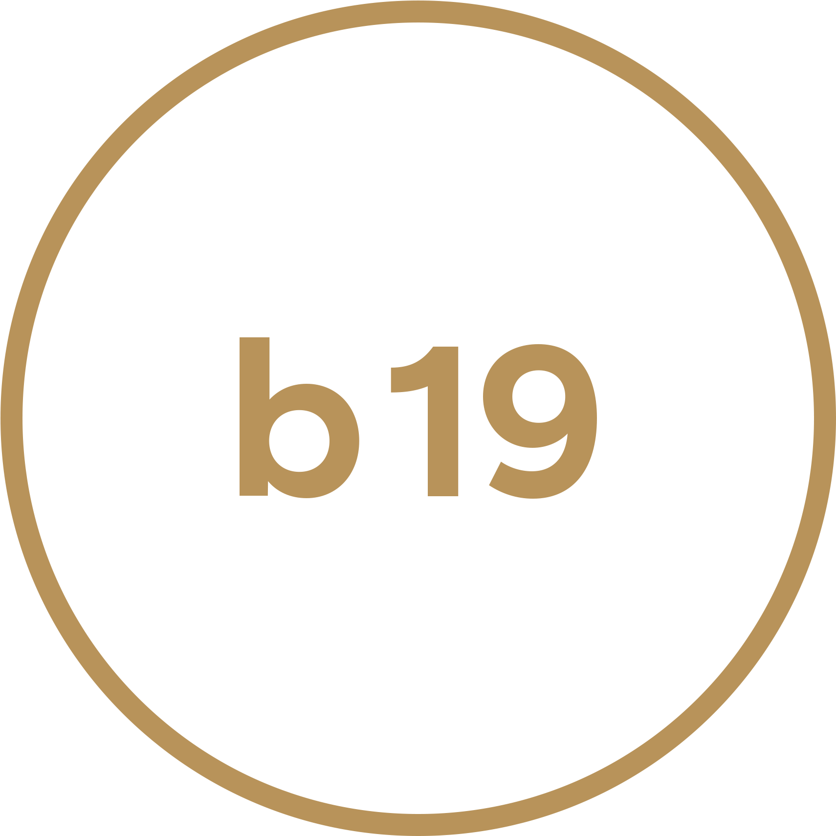 b19